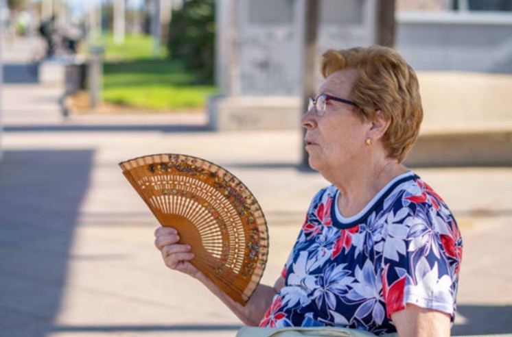 heat related illness elderly
