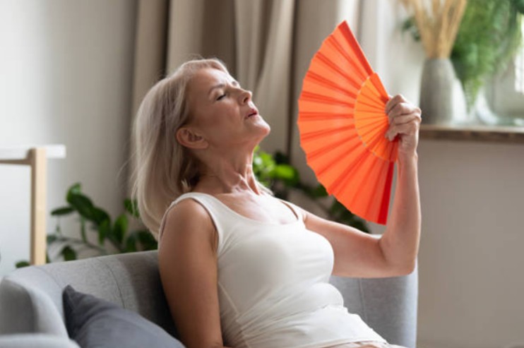 summer heat safety seniors